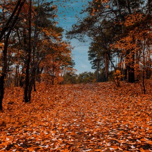 Krzysztof Jaworski-9